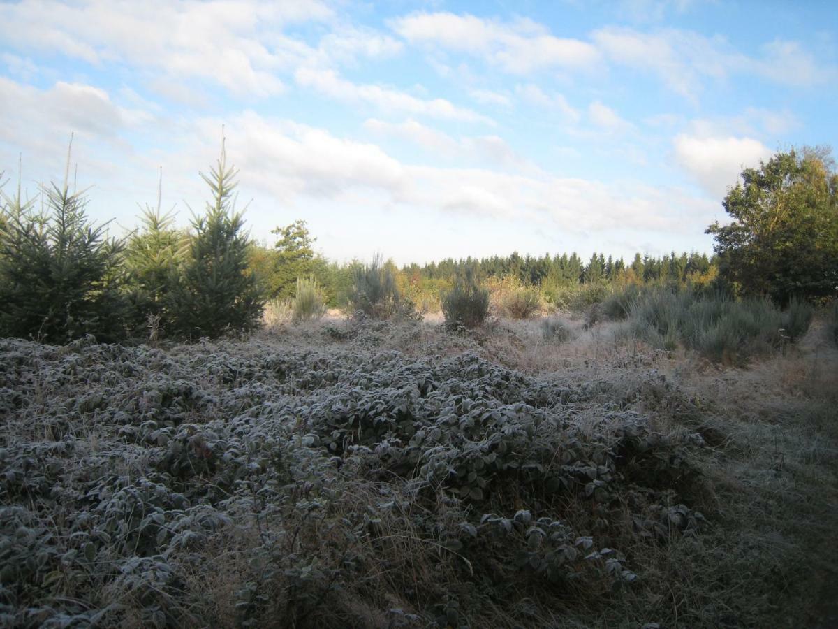 Le Héron Houffalize